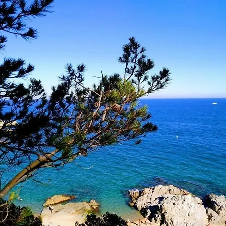 The Montane Modern Lloret de Mar